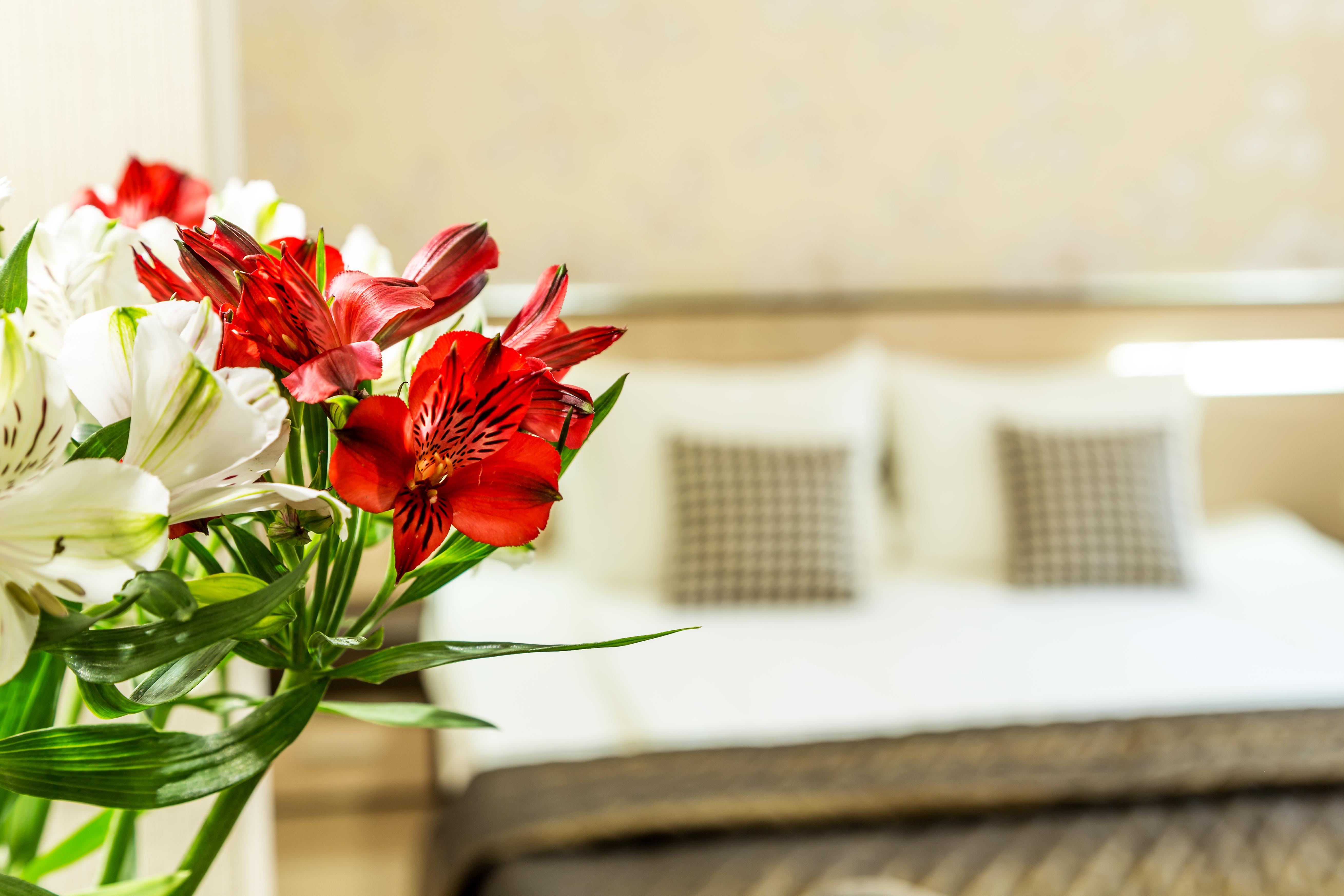 City Avenue Hotel By Hmg-Free Parking-Free Wi-Fi Sofia Exterior photo